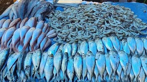 மீன் மார்க்கெட்
