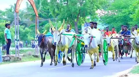 மாட்டு வண்டி பந்தயம்