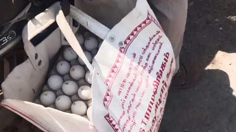 முட்டைகளை எடுத்து சென்ற வீடியோ