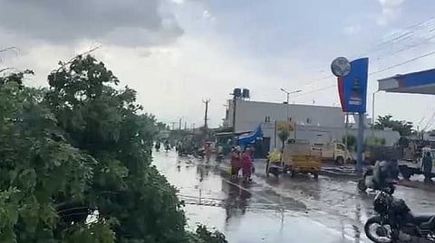 மரங்கள் முறிந்து விழுந்தன