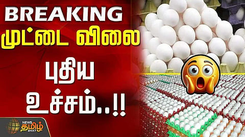 முட்டை கொள்முதல் விலை ரூ.6.55 ஆக உயர்வு