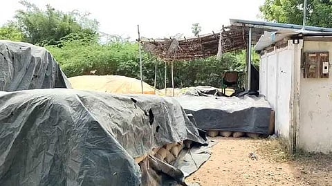 நெல் மூட்டைகள்