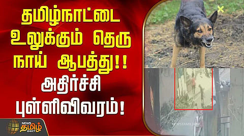 7.5 லட்சம் நபர்கள் நாய்க்கடியால் பாதிப்பு, 40 பேர் பலி