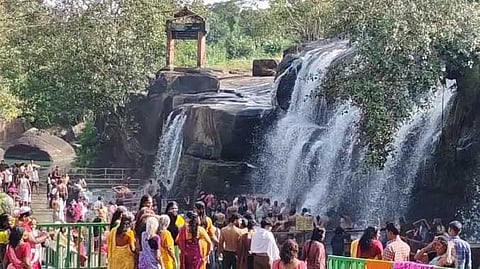 உற்சாக குளியல்