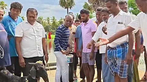 ஆடு வெட்டி சிறப்பு பூஜை