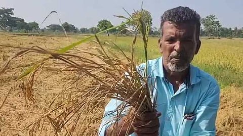 கனமழை எதிரொலி