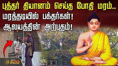 மரத்தடியில் பக்தர்கள், ஆலயத்தின் அற்புதம்
