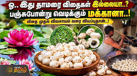 விதை முதல் விவசாயம் வரை வியப்பு தான்
