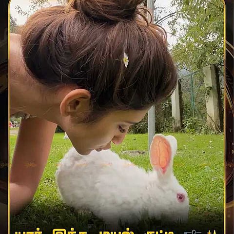 நடிகை ஸ்ரீலீலாவின் ரீசன்ட் க்ளிக்ஸ்