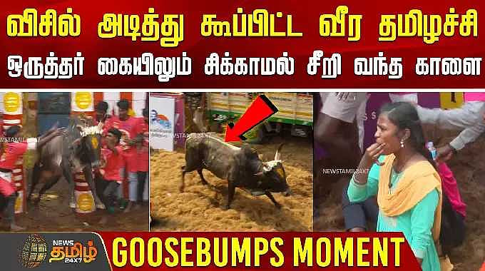 விசில் அடித்து கூப்பிட்ட வீர தமிழச்சி.. ஒருத்தர் கையிலும் சிக்காமல் ...