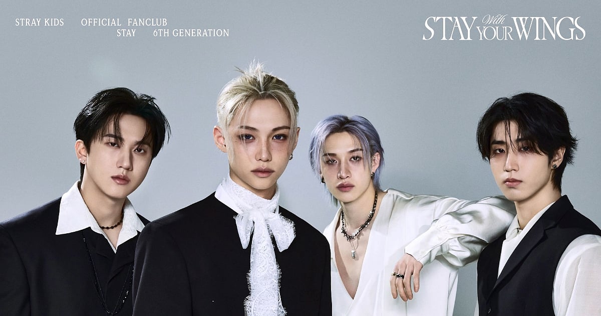 STRAY KIDS Official Concept Photo, STRAY KIDS STAY WITH YOUR WINGS