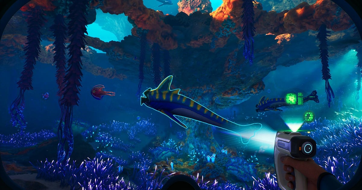A first-person view of a player using a high-tech scanning tool on a blue and yellow bioluminescent alien fish. The vibrant underwater environment is filled with purple coral, hanging sea vines, and sunlight filtering through the water's surface above.