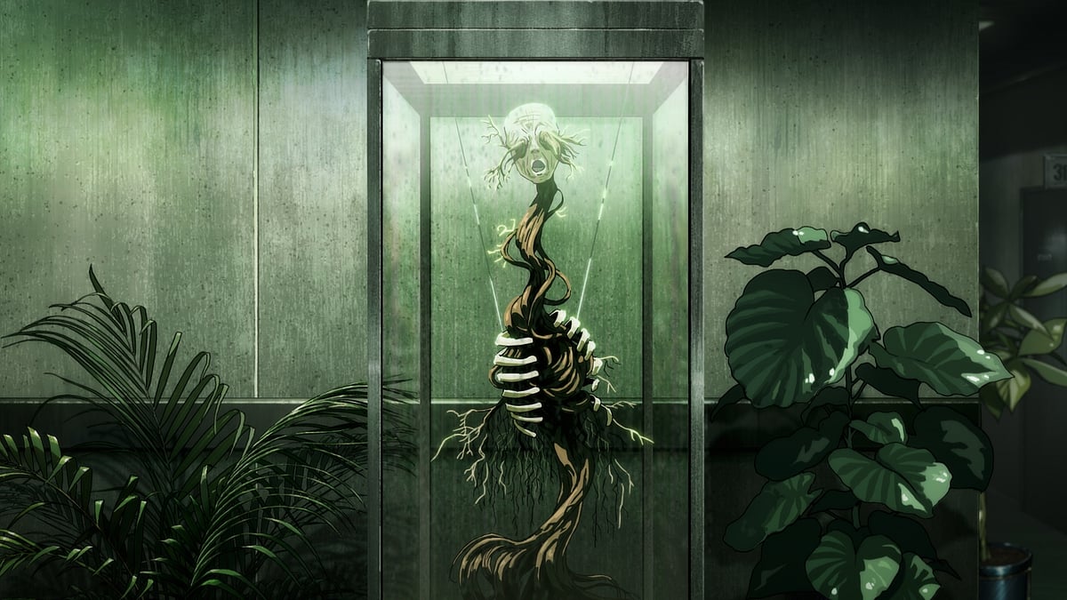 Transfloration footage in Fool Night Anime