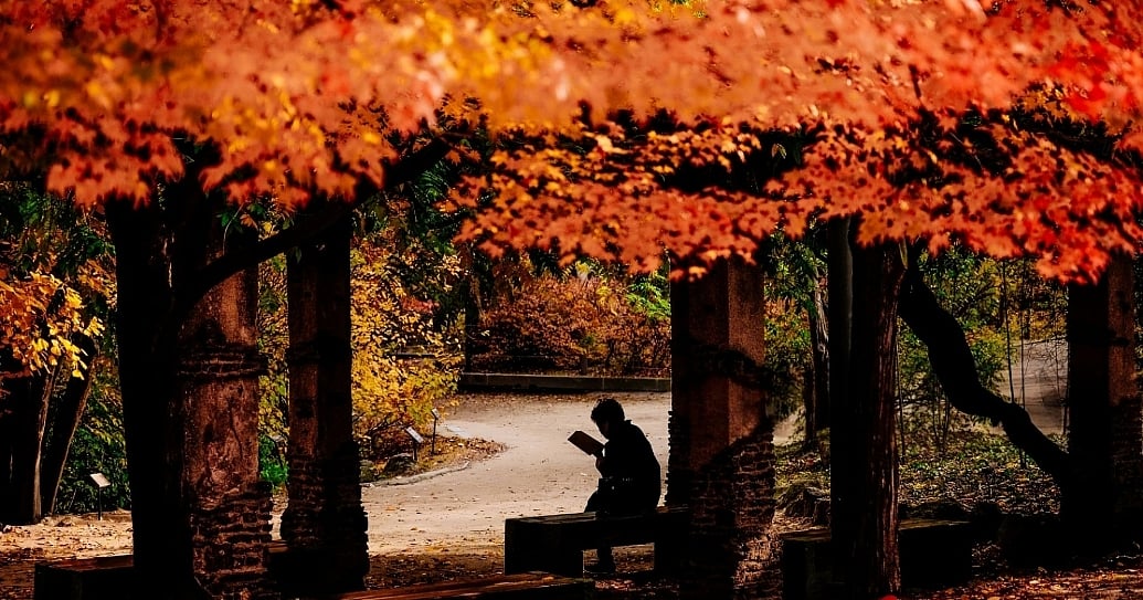 Trending: South Korean Books Reach 3.58M in Exports in 5 Years
