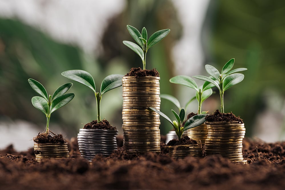 RTAs Ask Investors To Get These Mismatches In PAN
