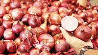 Rise In Onion Prices