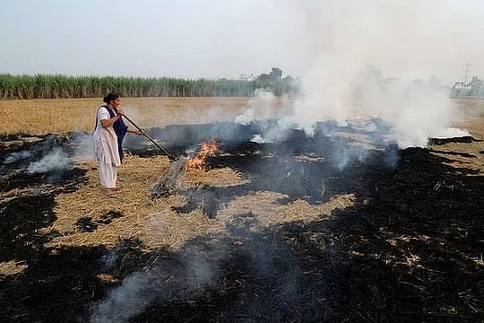 Subordinate Legislation Panel of RS Examines Rules on Stubble Burning