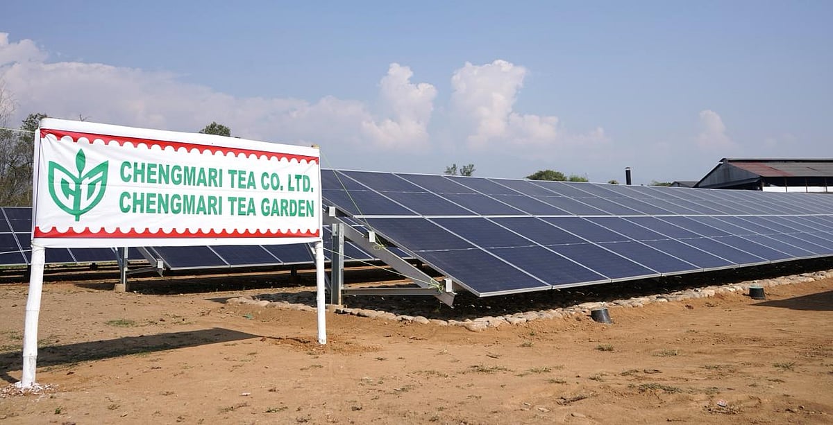 Asias Largest Tea Estate Welcomes Groundbreaking Bifacial Solar System