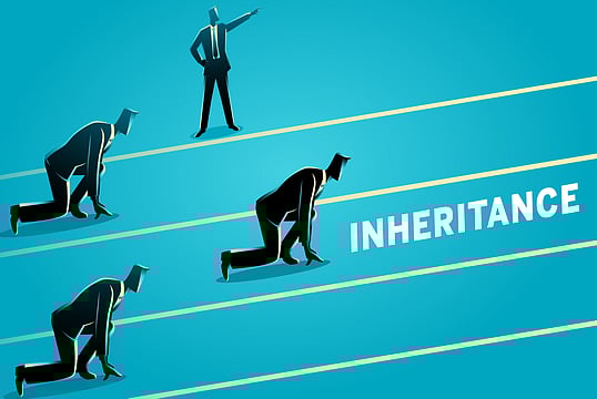 Inheritance Taxation And The Lottery Of Birth