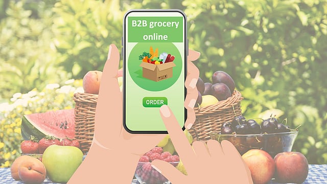 Why Aren't Swiggy and Zepto Following Zomato's B2B Grocery Path?  