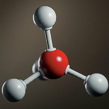 India Discovers Natural Allies To Defeat Methane 