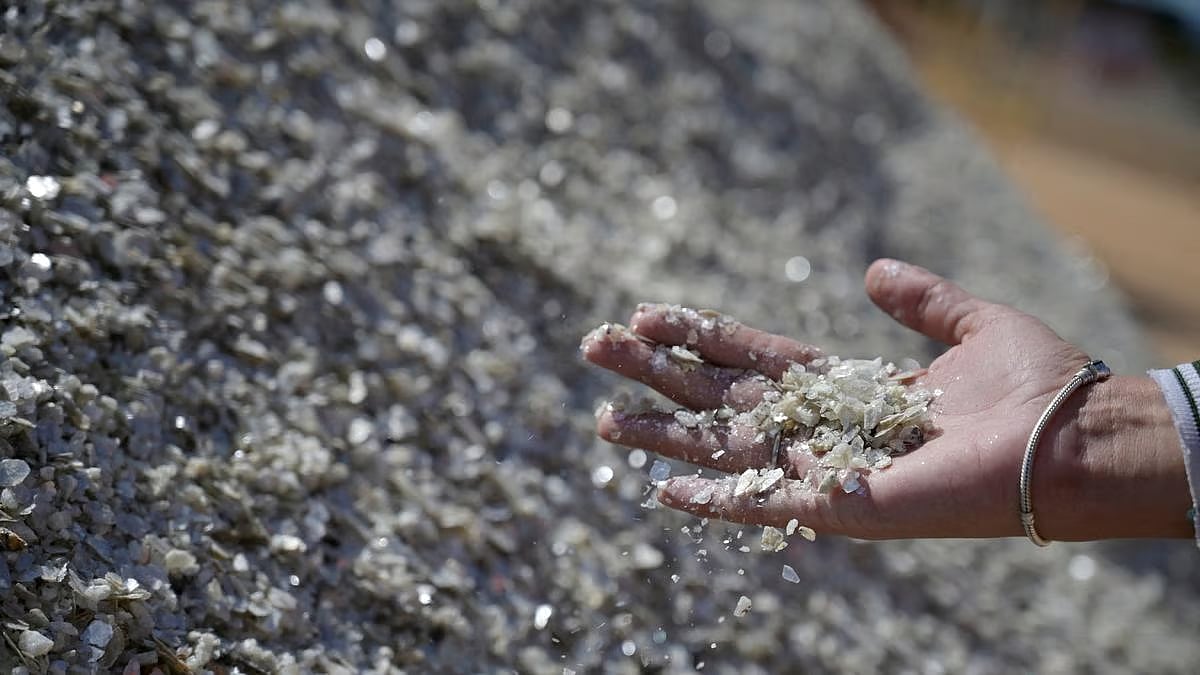 Lithium, a key component of EV batteries, has emerged as a sought-after commodity.