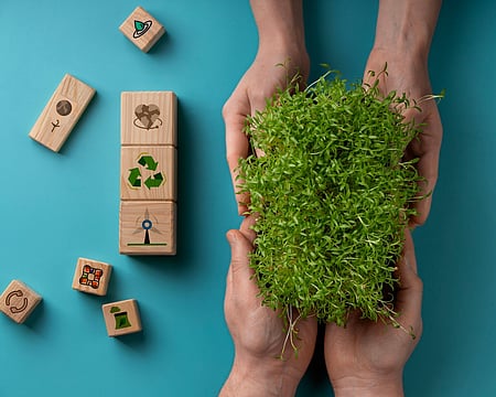 Mercedes-Benz Research And Development India Enhances Focus On Sustainability