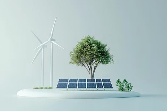 'India, ASEAN Can Work on Regional Policy Framework for Green Energy Transition'