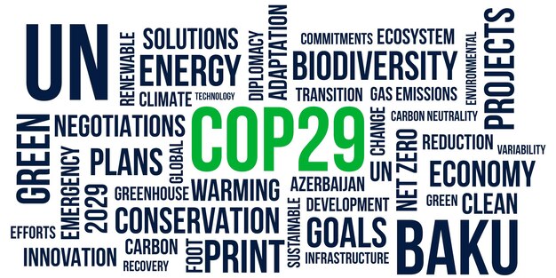 Draft Finance Plan For COP29 Highlights Deep Divisions Among Nations