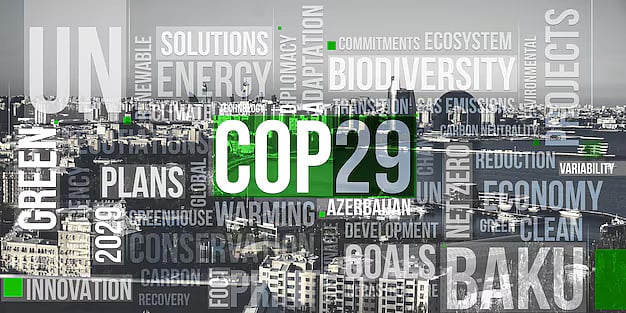 COP 29 To Be More Inclusive And Climate Finance Oriented