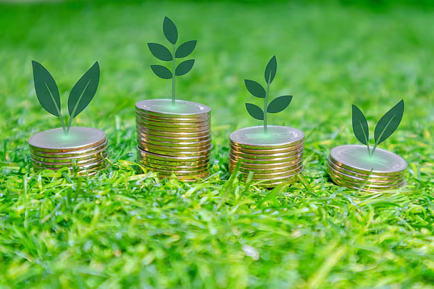 The report highlights that while India is on track to triple its renewable energy capacity by 2030 compared to 2022, the country must scale up five times to over 600 GW to meet growing energy demands and reduce its dependence on coal. - by freepik