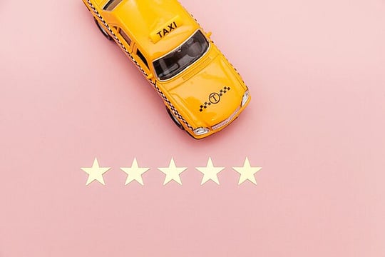 Green Tribunal Pushes For Vehicle Star Ratings 