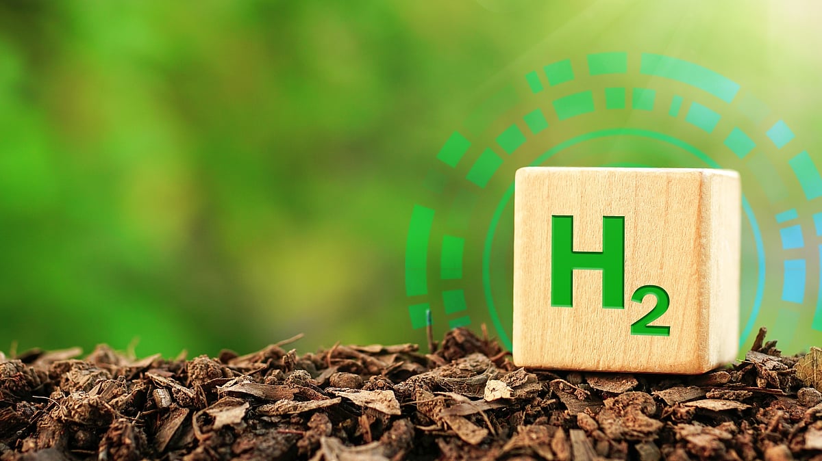 Greenzo Energy Gets Hydrogen Project from TANGEDCO; Order Book Stands at Rs 1,200 Crore