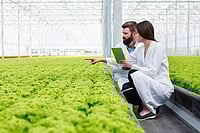by freepik : He also called for crop diversification, value addition, and promotion of natural farming.