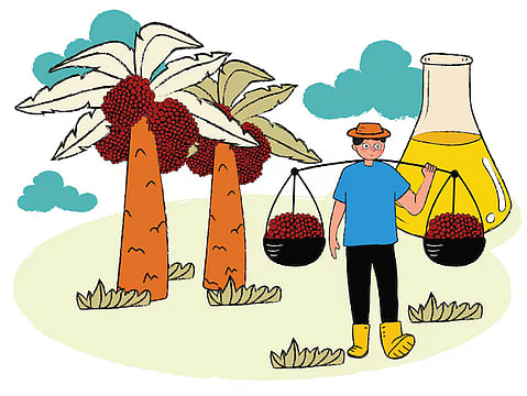 Public-Private Partnerships Key to Boost Sustainable Palm Oil Production: Experts