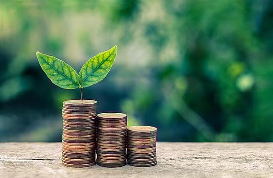 Green Tariffs May Hurt Energy Distribution Companies: CSEP Study