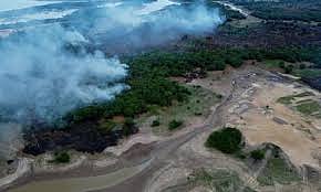 Climate Change Could Reduce Amazon's Methane Absorbtion By 70 Per Cent, Study Suggests