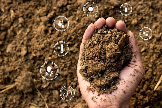 Calcium in Soil Curbs Carbon in Air: New Study