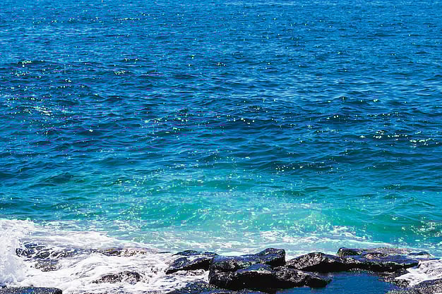 by frepik : Blue Carbon