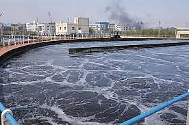 Water Treatment Plants Affected Due to Untreated Effluent in Yamuna from UP, Haryana: Delhi CM
