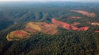 Story in Numbers: India Set to Exceed Forest Carbon Sink Target of 3 Billion Tonnes by 2030, Finds Study