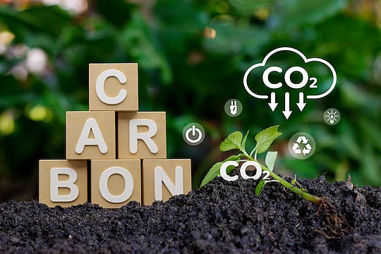 Need to Encourage All Technologies to Cut Carbon Emissions, Oil Import: Maruti Suzuki