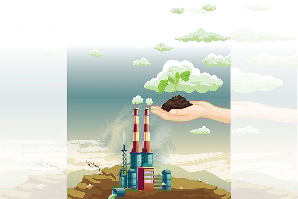 Can COP29 Accelerate Climate Finance Flow for Small Businesses? 