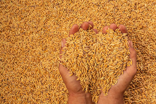 Punjab Farmers Lift National Highway Blockades but Continue Sit-Ins Over Paddy Procurement Issues