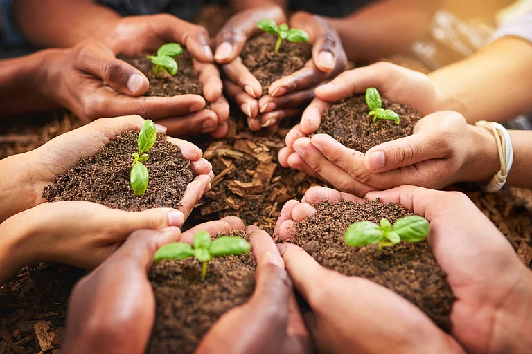 Effective enforcement of regulation and transparency are key to ensuring meaningful conservation outcomes, say experts. - by shutterstock