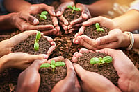 Experts Warn Biodiversity Loss can Trigger Sovereign Debt Crises; India's Credit Rating May Fall by shutterstock : Biodiversity