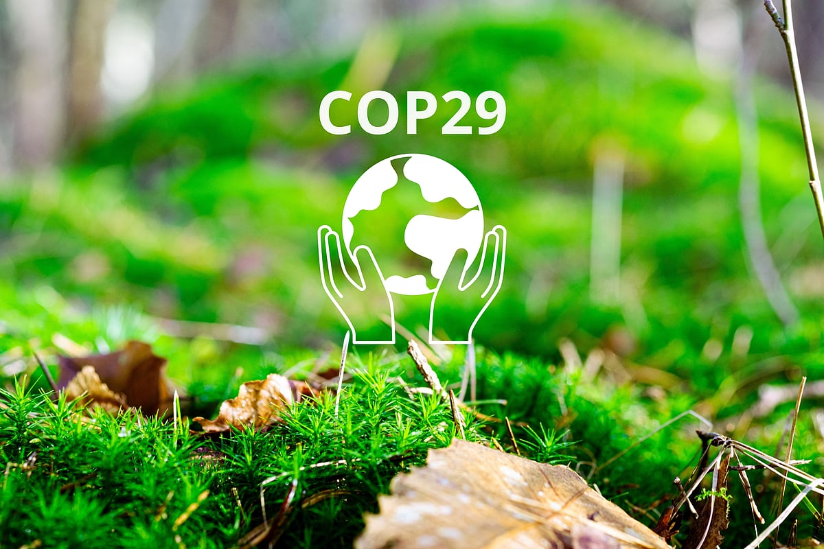by shutterstock : COP 29