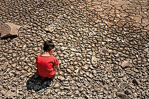 India’s interest in COP29