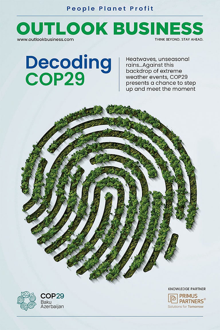 Decoding COP29