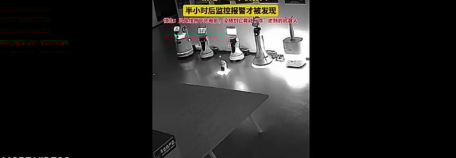 Tiny AI Robot 'Erbai' Kidnaps 12 Big Robots from China's Showroom | Watch 